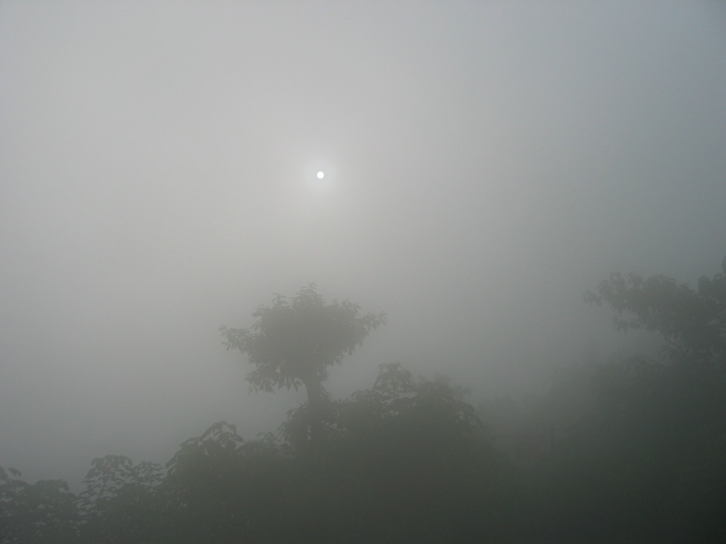 雾都重庆的早晨 摄影 苹果3