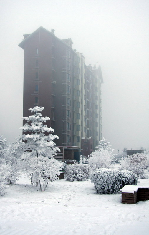 雪中雾中 摄影 常约