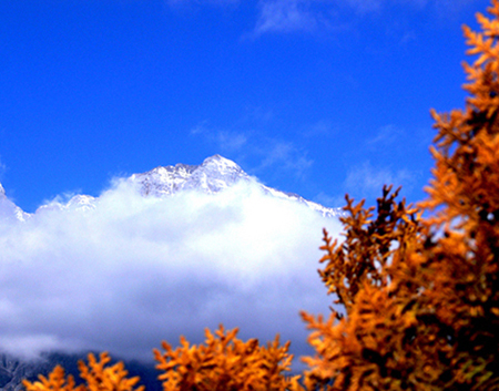 雪山秋色 摄影 老枪爱摄