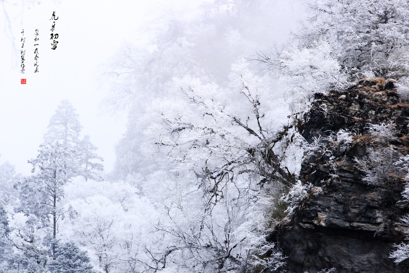 冬景图 摄影 奇迹111