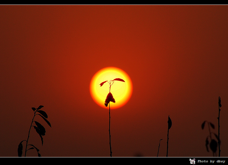 夕阳哭了 摄影 独步山羊