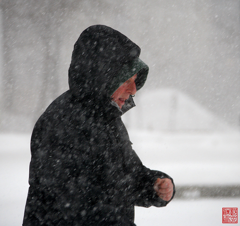 大雪袭击蒙特利尔 摄影 东北虎