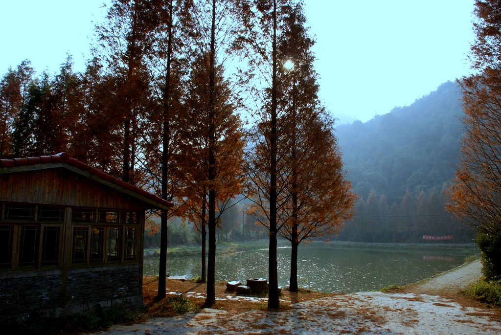 冬日 摄影 彼岸的风景