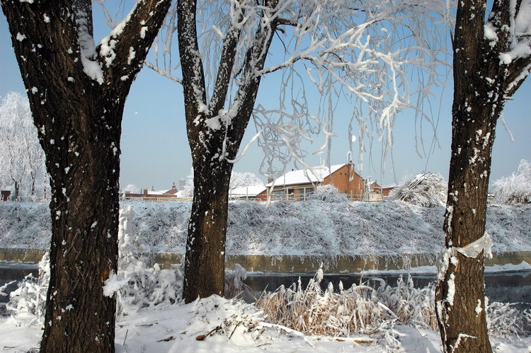 冰雪下的小村庄 摄影 豪仕