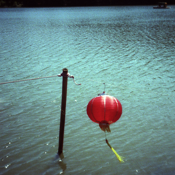 2007夏天的仙湖 摄影 LIGO