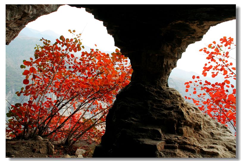 三峡红叶----秋声 摄影 摄途