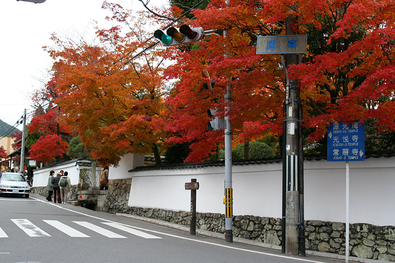 京都街道 摄影 漂泊的云