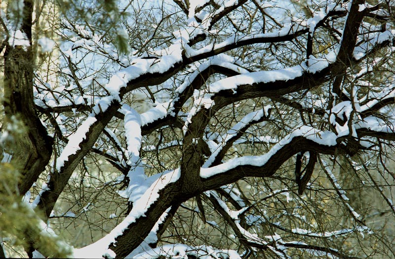 雪痕 摄影 PIAOJINLONG