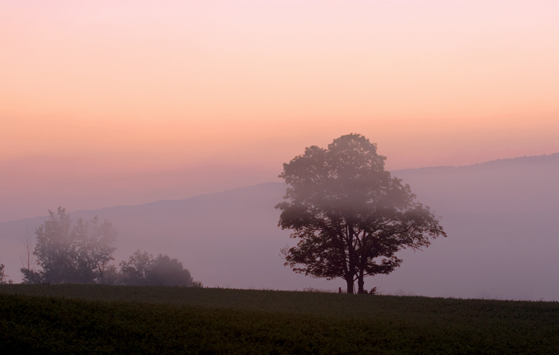 Kishacoquillas Valley, PA/USA 摄影 yuhan