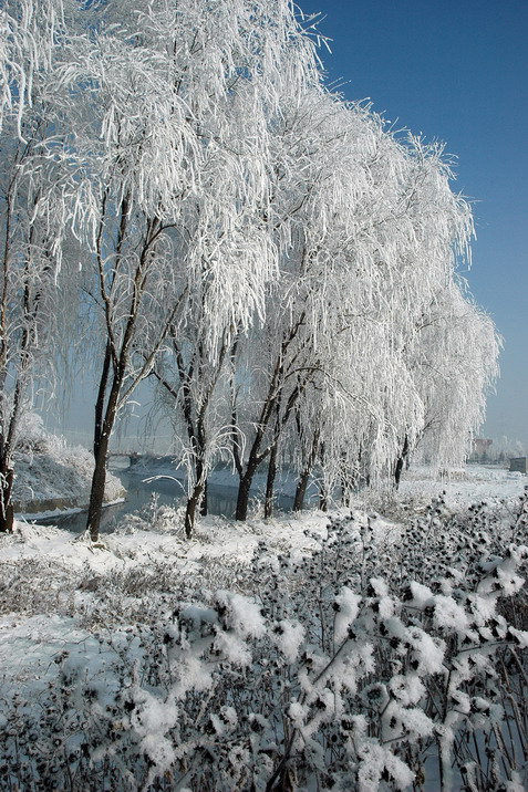 冬景 摄影 豪仕