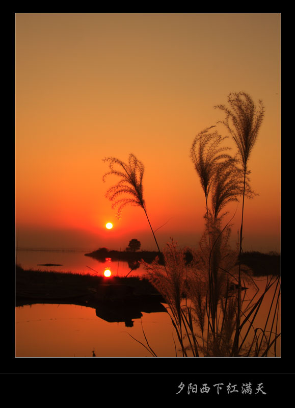 夕阳无限好 摄影 海鲜