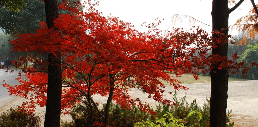 暖意 摄影 彼岸的风景