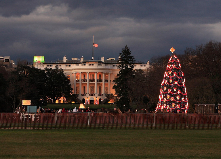 National Xmas Tree，2007 摄影 路奇