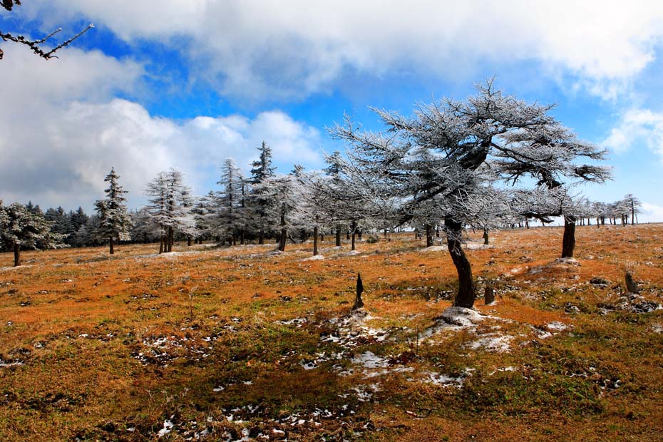 芦芽山风光 摄影 forestphoto