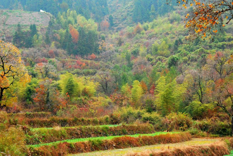 塔川仲秋山景（5） 摄影 zhenshan