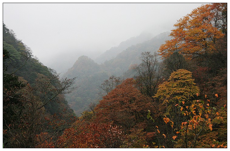 光雾山3 摄影 一思