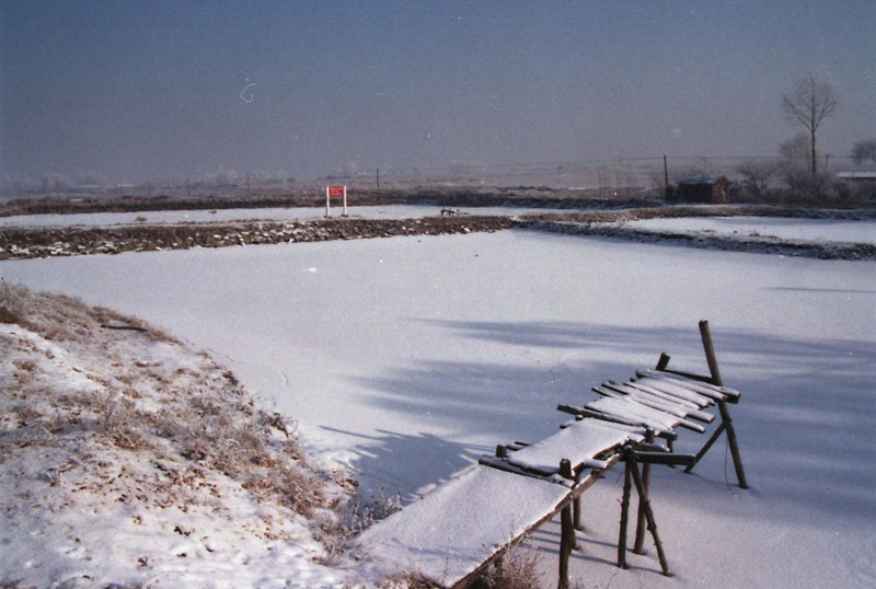 雪 摄影 帅小伙