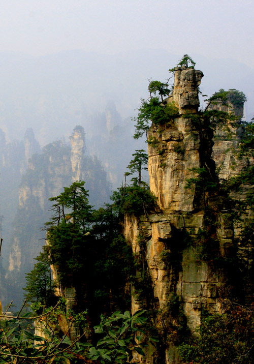 放大的盆景，微缩的仙境 摄影 细雨霏霏