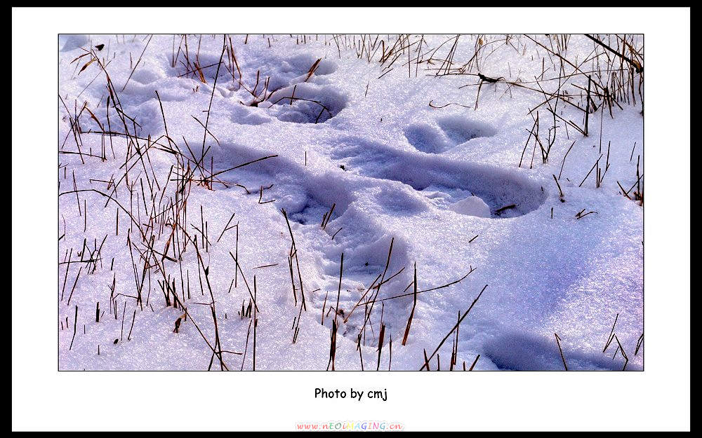 零度之八 摄影 卧雪听风