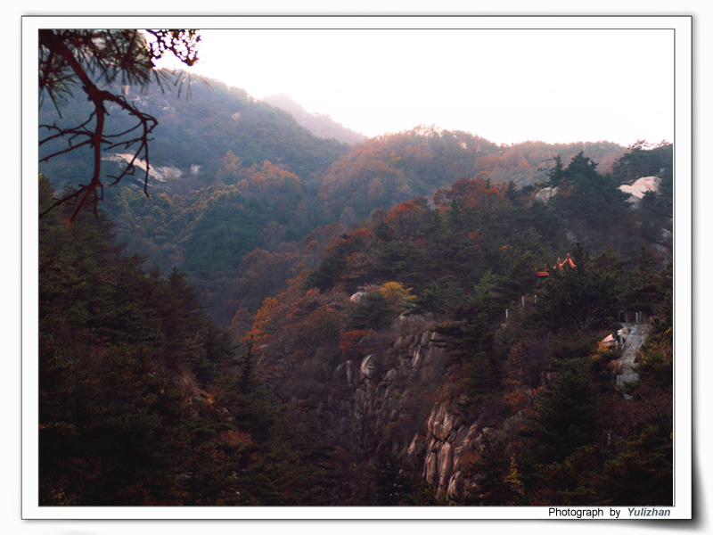 万山红遍 摄影 五光十色