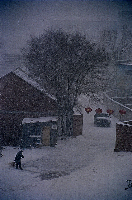 清晨,天空上还飘着雪花...... 摄影 简约主义