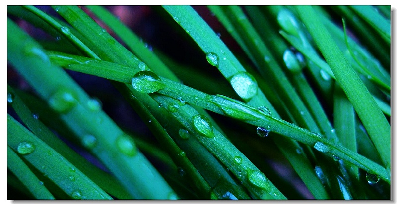 雨中即景 摄影 嘎玛