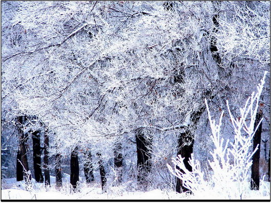 雪纯 摄影 新湖