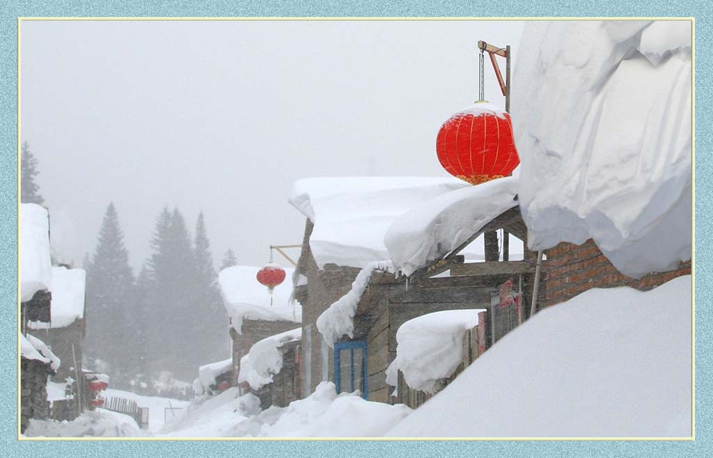 飞雪迎春 摄影 银雪