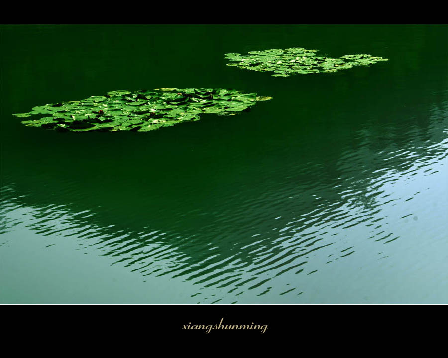 湖水悠悠 摄影 山沐