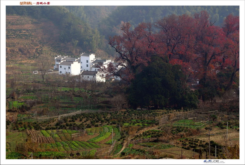 婺源深秋---石城小景 摄影 风影之韵