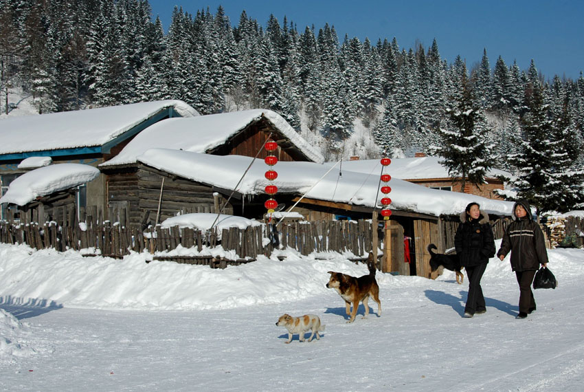 雪乡的回忆 摄影 海珠人