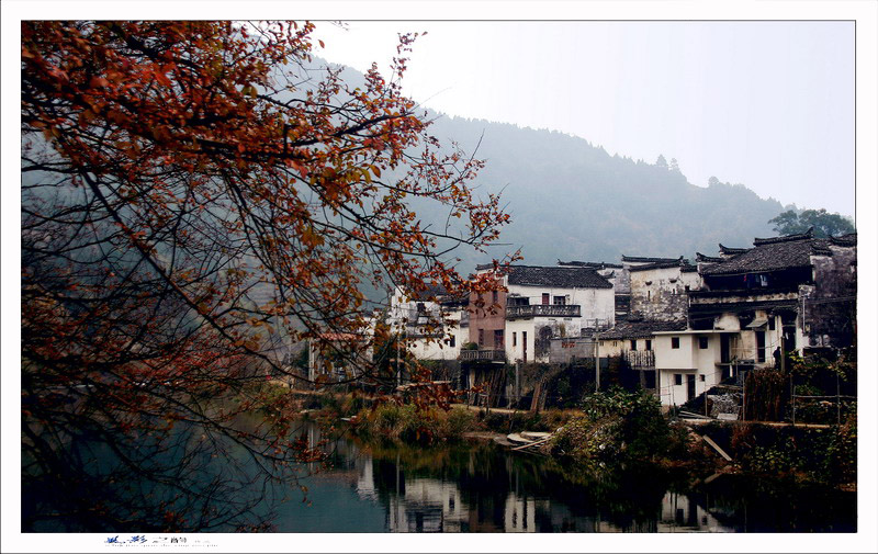 婺源深秋---上坦小景 摄影 风影之韵