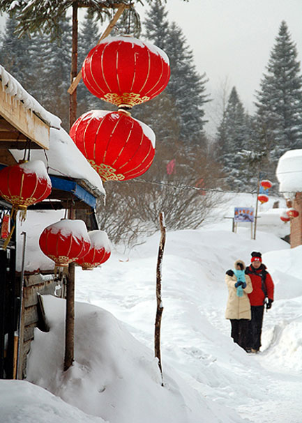 雪重情浓 摄影 山野采风