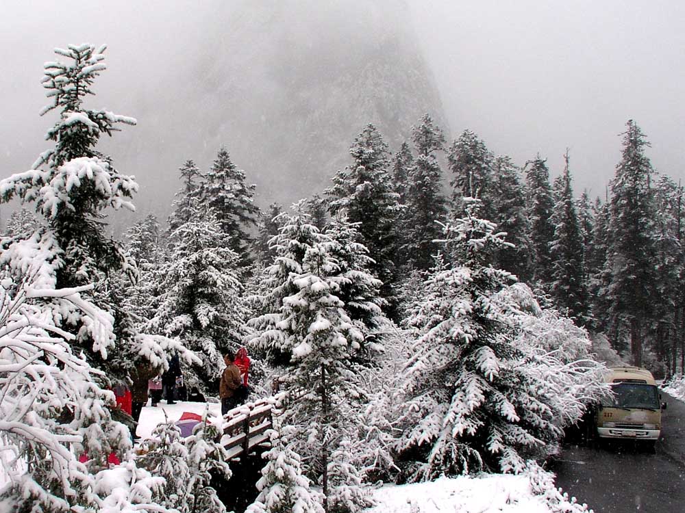 九寨沟（原始森林雪景） 摄影 苏小舟