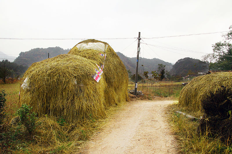 村景小道 摄影 陆凌