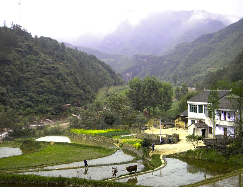 高山人家 摄影 厨师解围腰