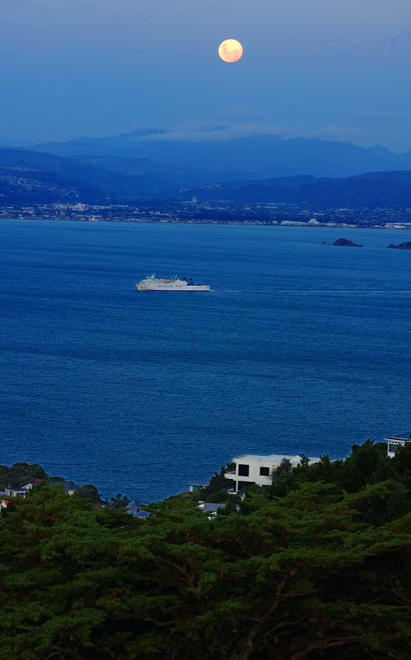 明月、海湾、渡轮抵岸 摄影 雨中行者