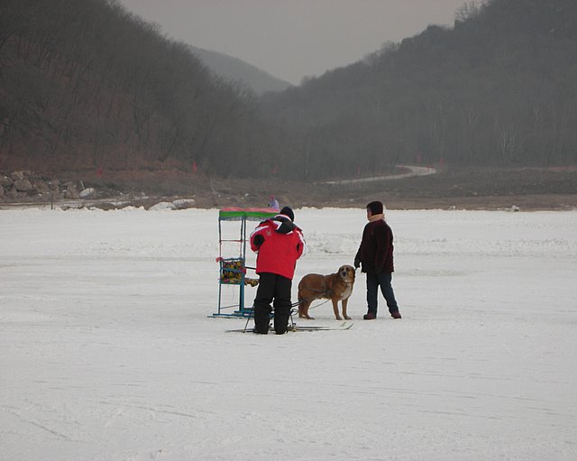 人、狗、雪 摄影 偉偉