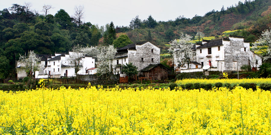 春到山村 摄影 夸梅