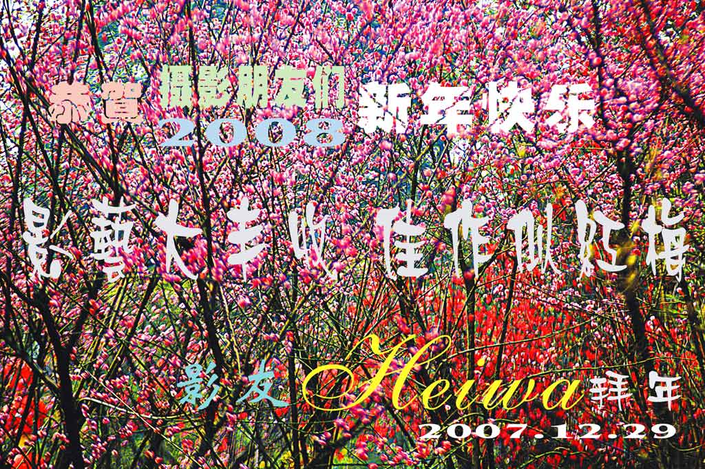 恭贺摄影朋友们2008新年快乐 摄影 heiwa