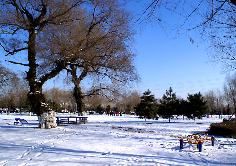 沈阳雪景 摄影 学君