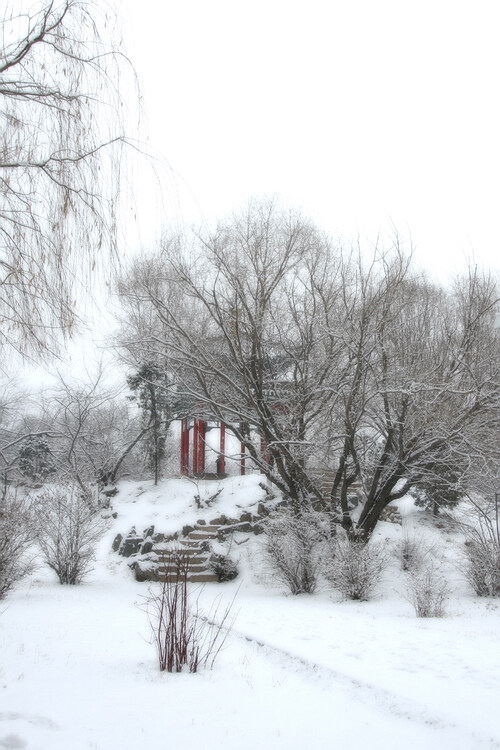 2007－雪 摄影 一脸草