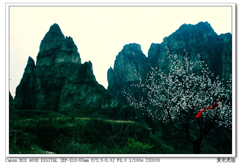 花映狼山 摄影 云蒙鬼谷