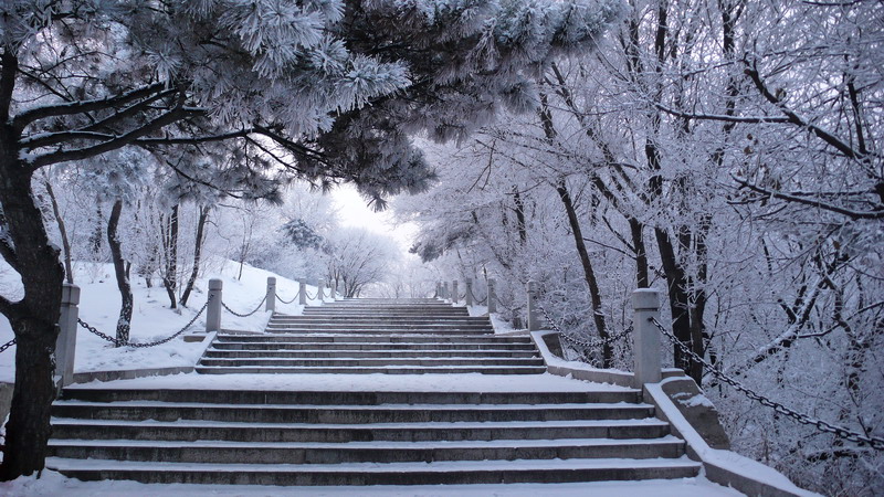 《喜看瑞雪迎丰年》 摄影 秋婵