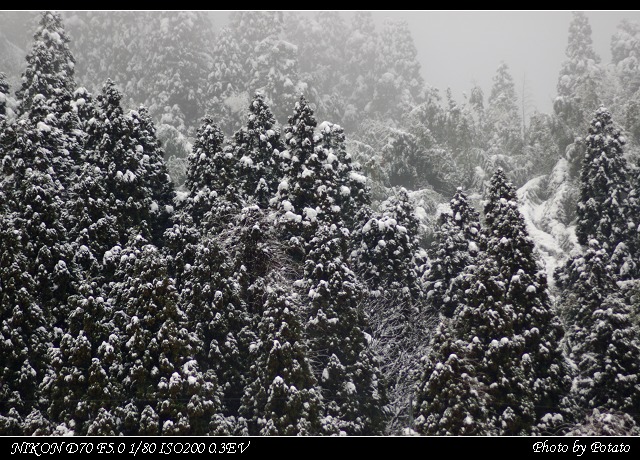 雪 摄影 凉地土豆