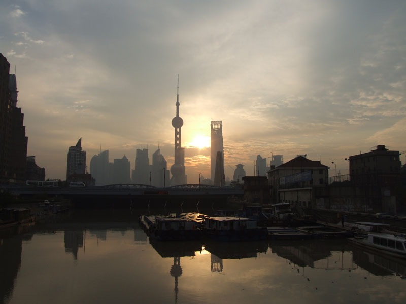 清晨 摄影 花港观鱼