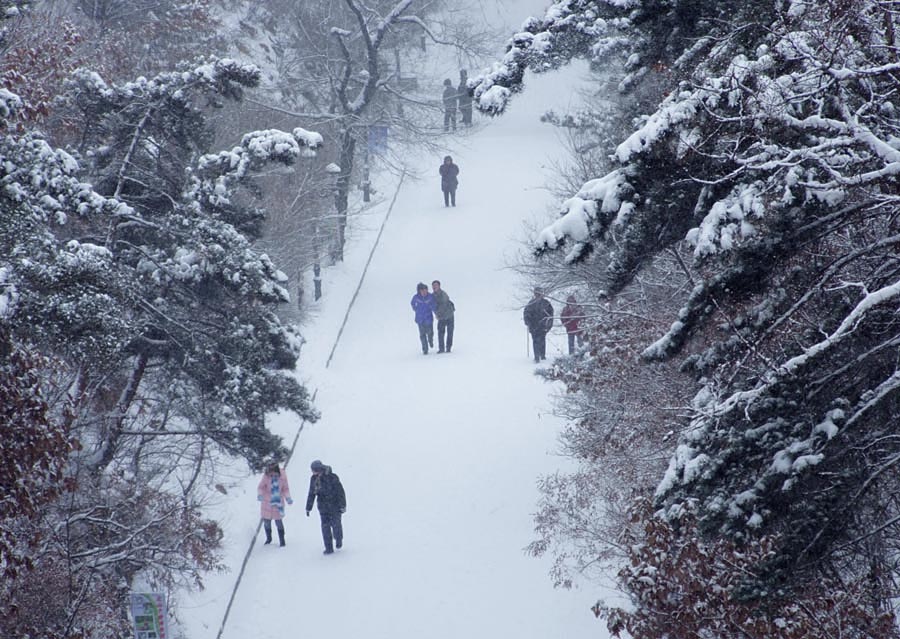 漫步雪中 摄影 听海观潮