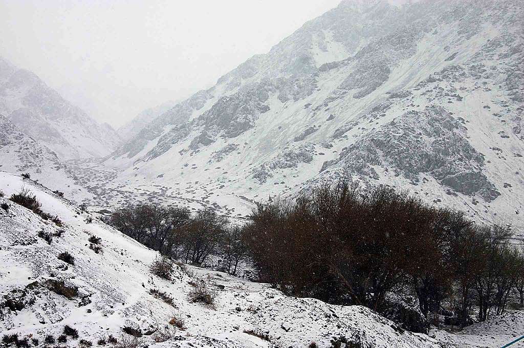 雪影 摄影 室静兰馨