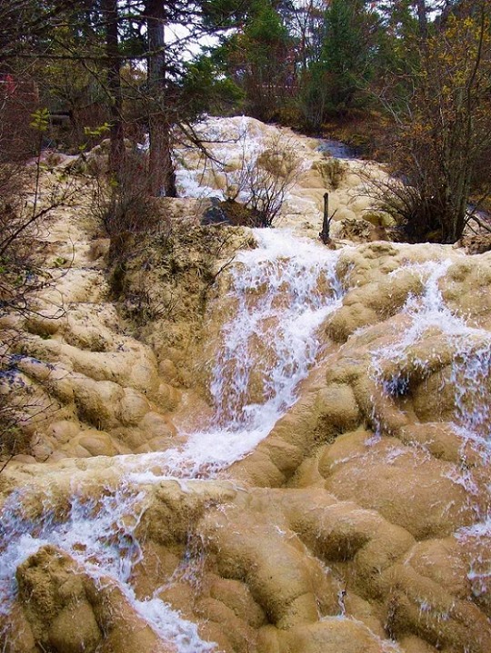 高山流水 摄影 秋天的枫叶