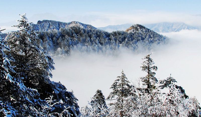 西岭雪 摄影 素心梅551030